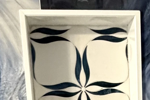 Close-up: a clearly framed feature